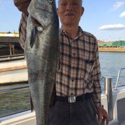 ビッグファイター 釣果