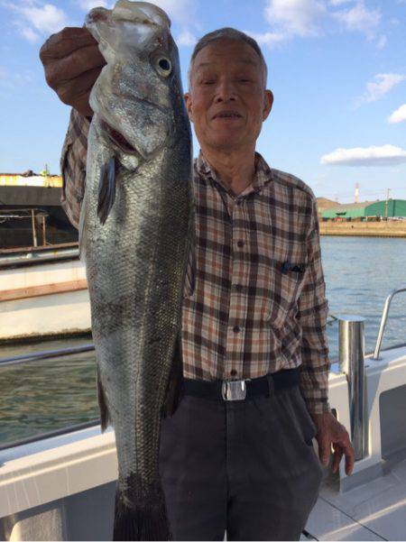 ビッグファイター 釣果