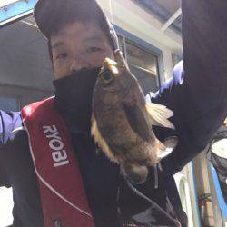 ヤザワ渡船 釣果