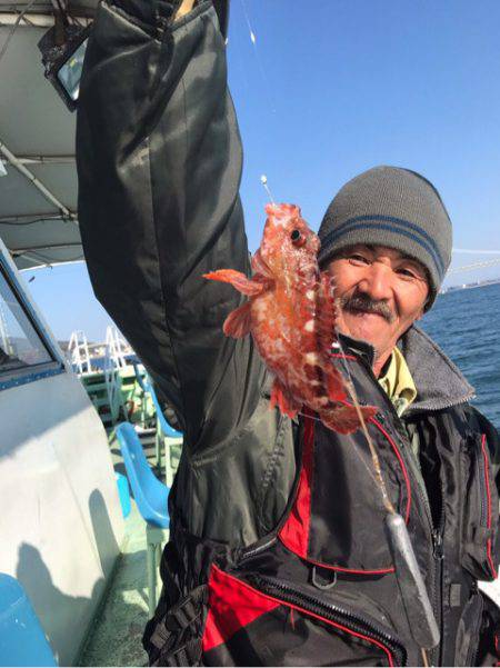 ヤザワ渡船 釣果