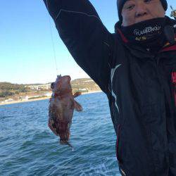 ヤザワ渡船 釣果