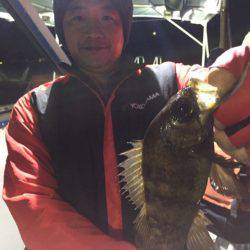 ヤザワ渡船 釣果