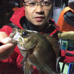 ヤザワ渡船 釣果