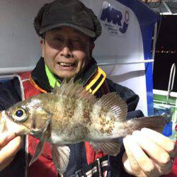 ヤザワ渡船 釣果