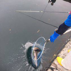 釣り堀水宝 釣果