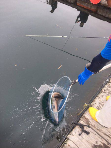 釣り堀水宝 釣果