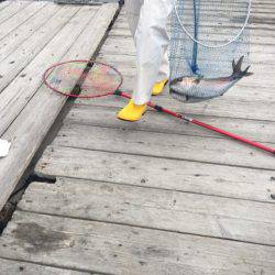 釣り堀水宝 釣果