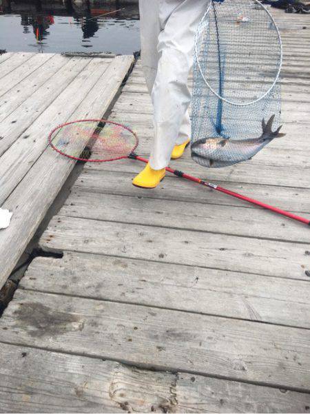 釣り堀水宝 釣果