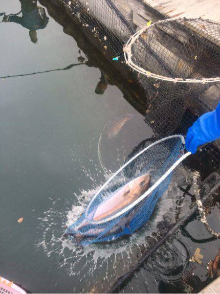 釣り堀水宝 釣果