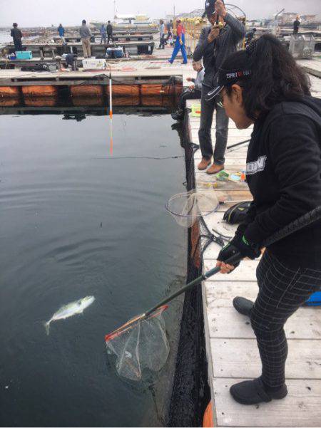 釣り堀水宝 釣果