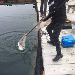 釣り堀水宝 釣果