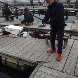 釣り堀水宝 釣果