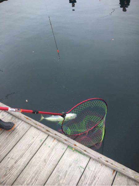 釣り堀水宝 釣果