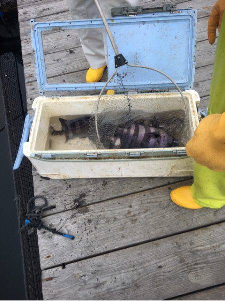 釣り堀水宝 釣果