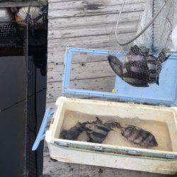 釣り堀水宝 釣果