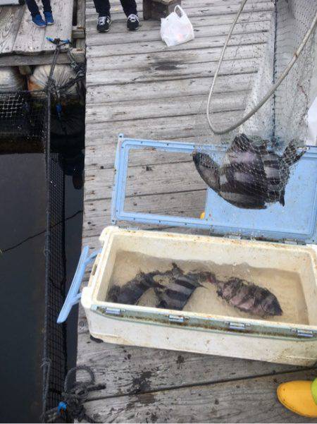 釣り堀水宝 釣果