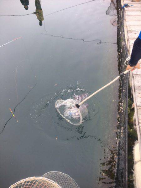 釣り堀水宝 釣果