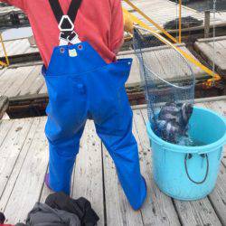 釣り堀水宝 釣果