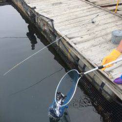 釣り堀水宝 釣果