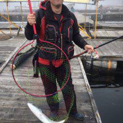 釣り堀水宝 釣果