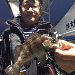 ヤザワ渡船 釣果