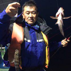 ヤザワ渡船 釣果