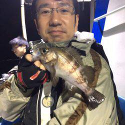 ヤザワ渡船 釣果