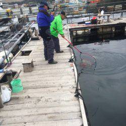 釣り堀水宝 釣果