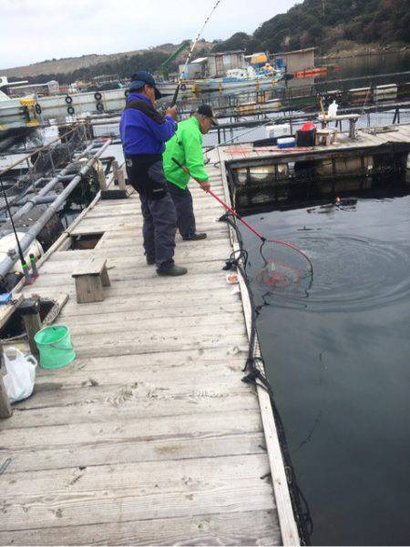 釣り堀水宝 釣果
