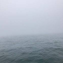 Monster Rush! 釣果