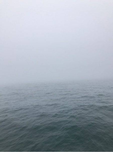 Monster Rush! 釣果