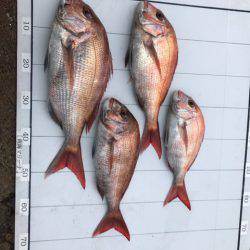 Monster Rush! 釣果