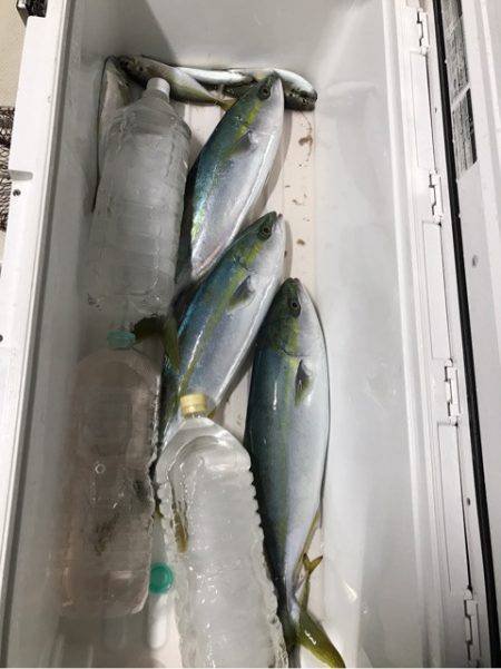 Monster Rush! 釣果