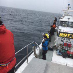 海楽隊 華栞丸 釣果