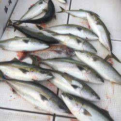 海楽隊 華栞丸 釣果