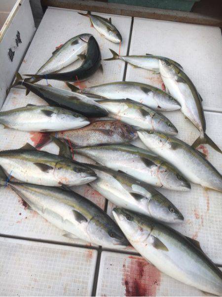 海楽隊 華栞丸 釣果