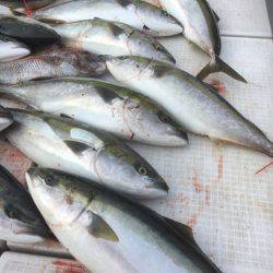 海楽隊 華栞丸 釣果