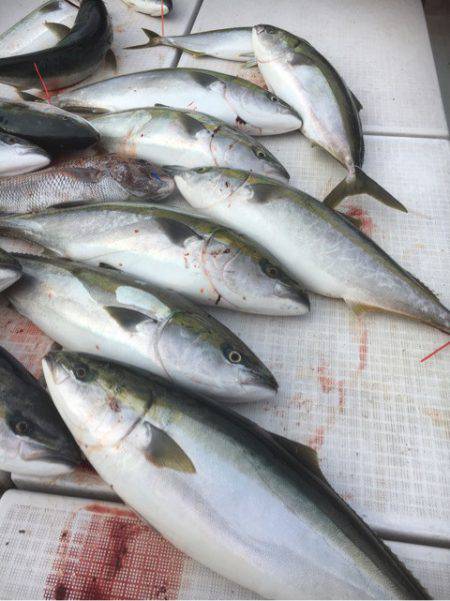 海楽隊 華栞丸 釣果