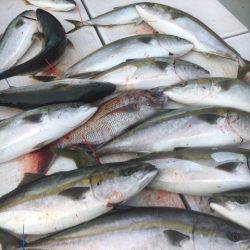 海楽隊 華栞丸 釣果