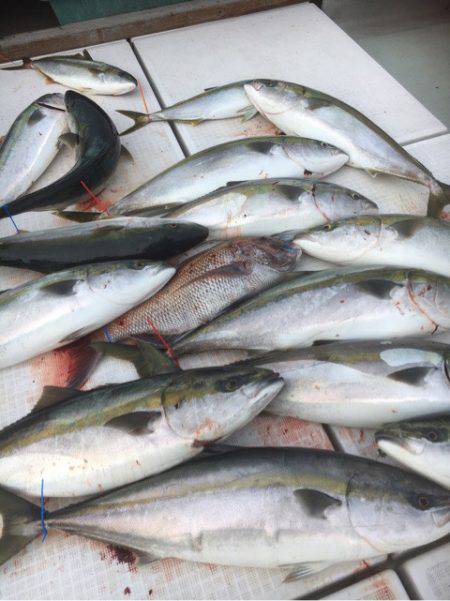 海楽隊 華栞丸 釣果