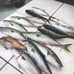 海楽隊 華栞丸 釣果