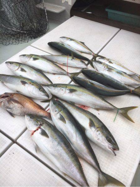 海楽隊 華栞丸 釣果