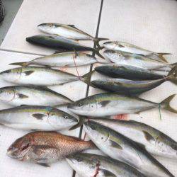 海楽隊 華栞丸 釣果