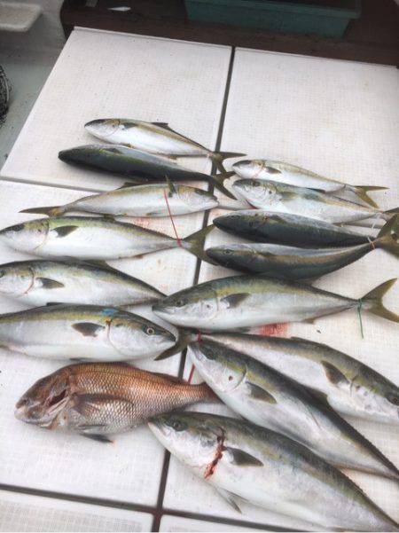 海楽隊 華栞丸 釣果