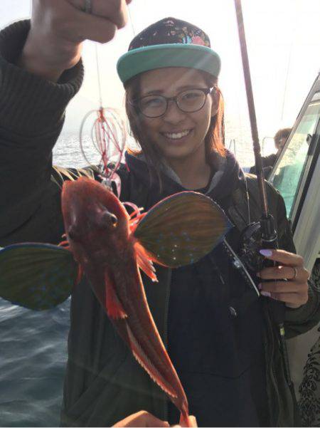 龍神丸(鹿児島) 釣果