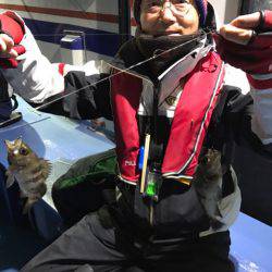 ヤザワ渡船 釣果