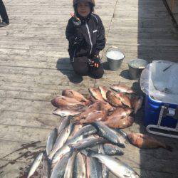釣り堀水宝 釣果