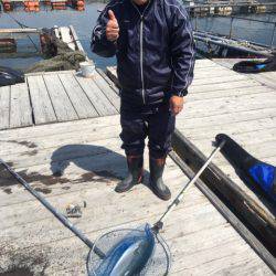 釣り堀水宝 釣果