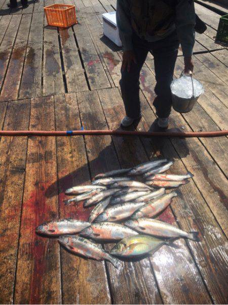 釣り堀水宝 釣果