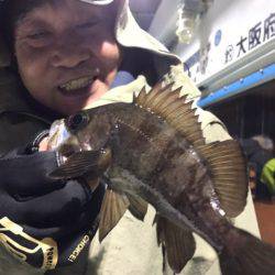 ヤザワ渡船 釣果